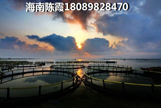 清水灣智匯城生紙因素分析