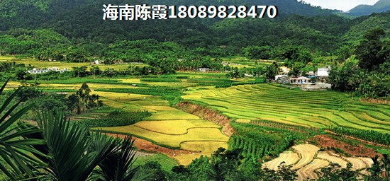 海口海岸壹號四期商鋪