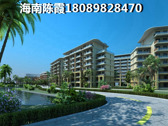 金海雅苑XG政策