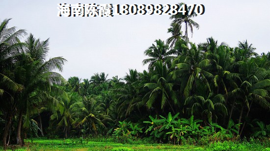 恒大·?；◢u（中國(guó)海南?；◢u）VS景成花半里分析對(duì)比