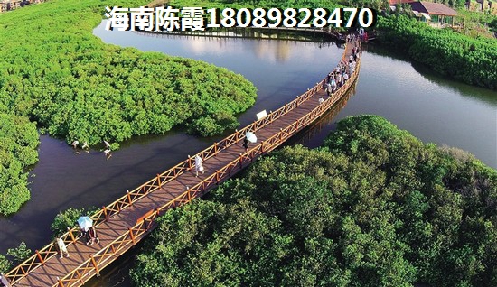 《龍溪雅居房?jī)r(jià)飆升之謎！樂東2026年房?jī)r(jià)醉高的區(qū)域竟然是這里？》